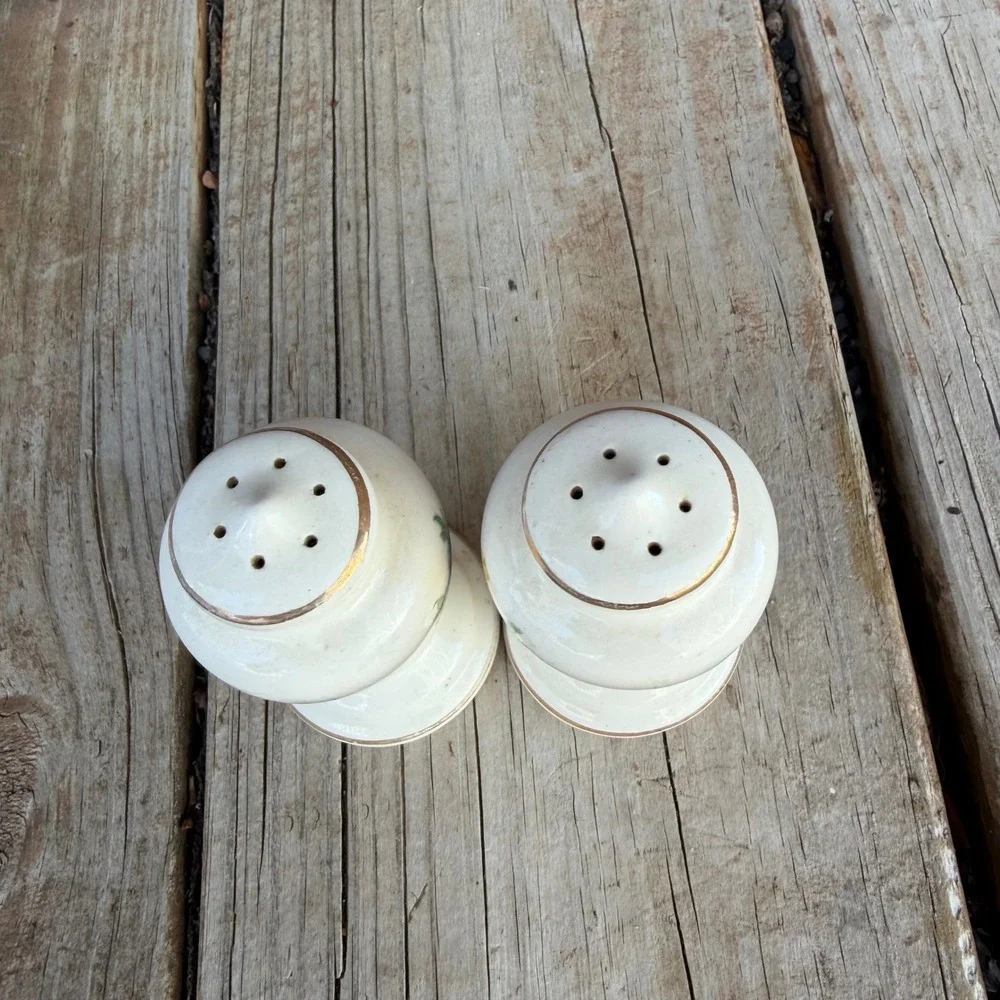 Vintage Floral‎ Ceramic Salt and Pepper Shakers White Gold Trim 4.5 Inch